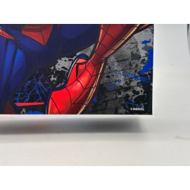 SUPER SET DE COLORAT SPIDER MAN